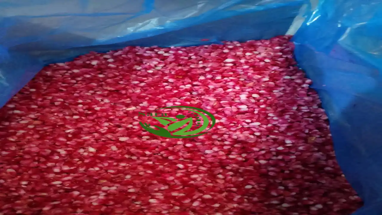 IQF Frozen Pomegranate Seeds Export from Egypt